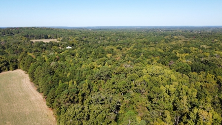 Cherokee Co Recreational Land for Sale Near Jacksonville TX - image 8