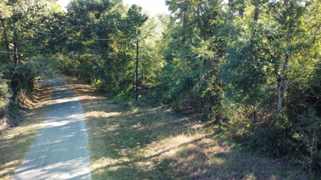 Cherokee Co Recreational Land for Sale Near Jacksonville TX - image 10