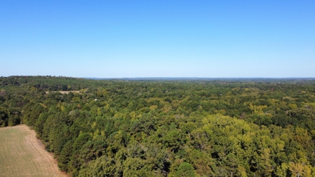 Cherokee Co Recreational Land for Sale Near Jacksonville TX - image 7