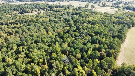 Cherokee Co Recreational Land for Sale Near Jacksonville TX - image 14