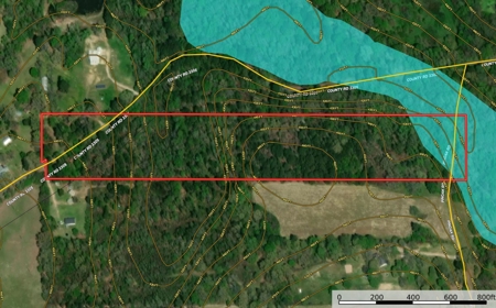 Cherokee Co Recreational Land for Sale Near Jacksonville TX - image 2