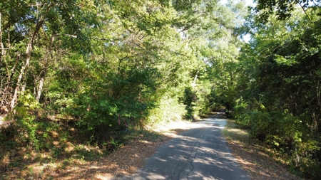 Cherokee Co Recreational Land for Sale Near Jacksonville TX - image 6