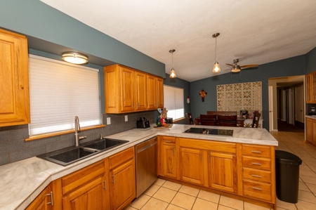 Arizona Organic Apple Orchard Investment Property For Sale - image 17