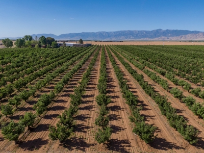 Arizona Organic Apple Orchard Investment Property For Sale - image 43