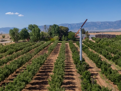 Arizona Organic Apple Orchard Investment Property For Sale - image 39