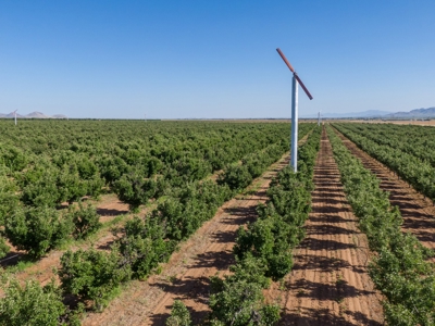 Arizona Organic Apple Orchard Investment Property For Sale - image 47