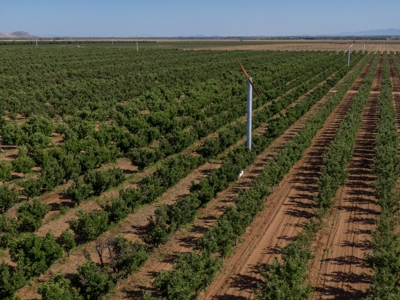 Arizona Organic Apple Orchard Investment Property For Sale - image 44