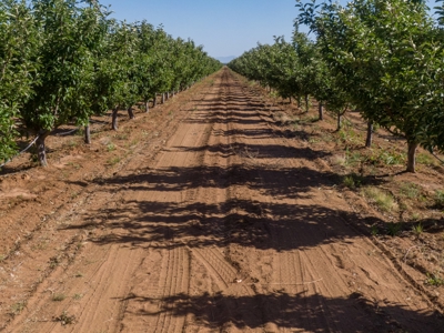 Arizona Organic Apple Orchard Investment Property For Sale - image 45