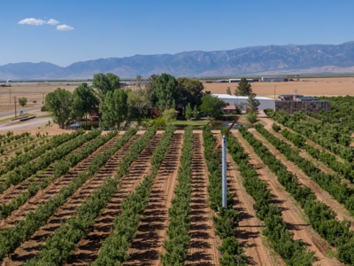 Arizona Organic Apple Orchard Investment Property For Sale - image 40
