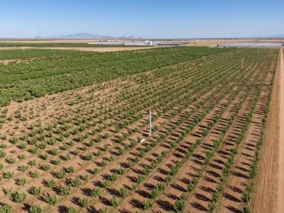 Arizona Organic Apple Orchard Investment Property For Sale - image 49