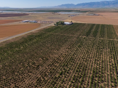 Arizona Organic Apple Orchard Investment Property For Sale - image 42
