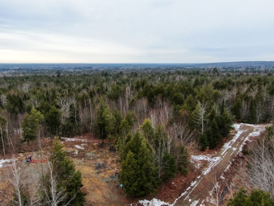 Piece of land with potential - image 2