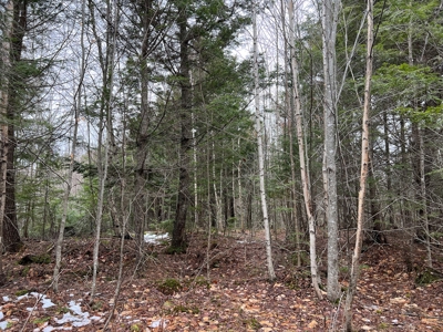 Piece of land with potential - image 12