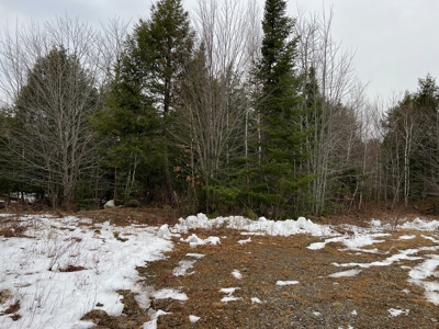 Piece of land with potential - image 7