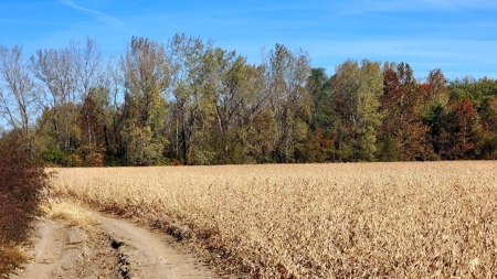Grand River Bottomland For Sale - Gallatin Mo - image 11
