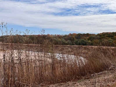 Grand River Bottomland For Sale - Gallatin Mo - image 1