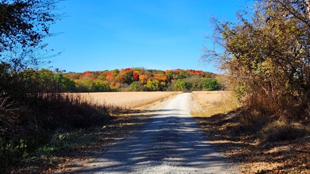 Grand River Bottomland For Sale - Gallatin Mo - image 10