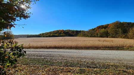 Grand River Bottomland For Sale - Gallatin Mo - image 7
