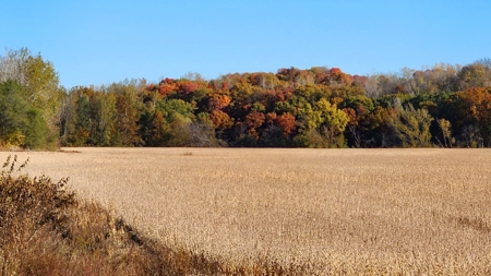 Grand River Bottomland For Sale - Gallatin Mo - image 8