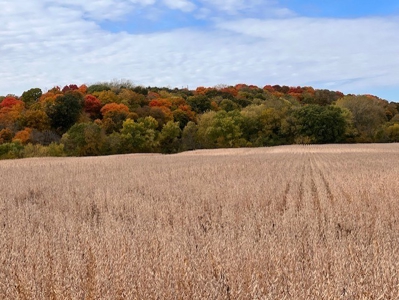 Grand River Bottomland For Sale - Gallatin Mo - image 2