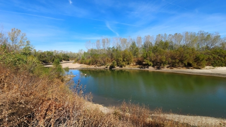 Grand River Bottomland For Sale - Gallatin Mo - image 12