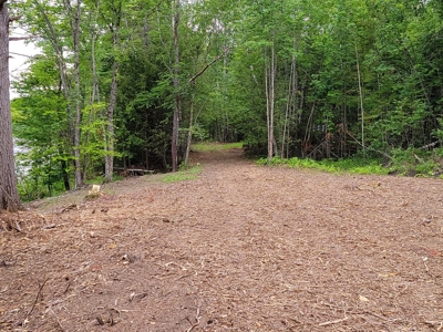 Riverfront Buildable Lot - image 5