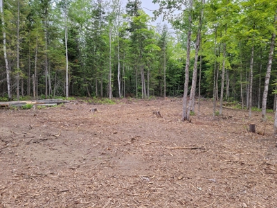 Riverfront Buildable Lot - image 6