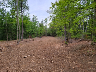 Riverfront Buildable Lot - image 7