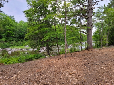 Riverfront Buildable Lot - image 3