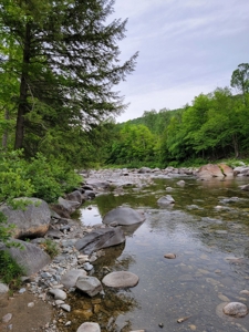 Riverfront Buildable Lot - image 2