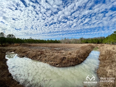 Turkey Pines Farm - Hunting & Recreational Retreat - image 7