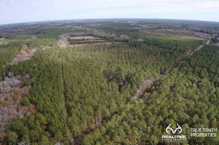 Turkey Pines Farm - Hunting & Recreational Retreat - image 3