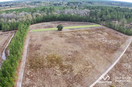 Turkey Pines Farm - Hunting & Recreational Retreat - image 16