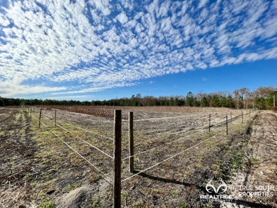 Turkey Pines Farm - Hunting & Recreational Retreat - image 29