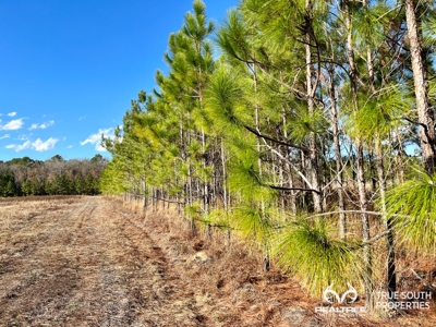 Turkey Pines Farm - Hunting & Recreational Retreat - image 39