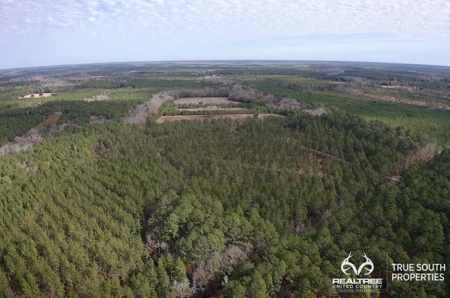 Turkey Pines Farm - Hunting & Recreational Retreat - image 22