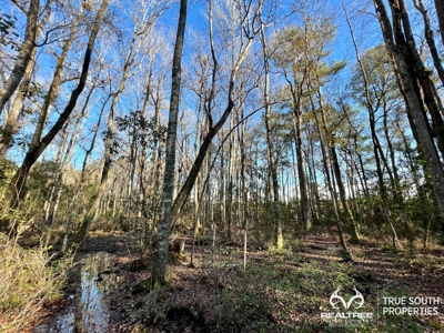 Turkey Pines Farm - Hunting & Recreational Retreat - image 9