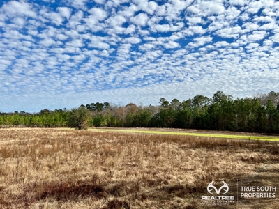 Turkey Pines Farm - Hunting & Recreational Retreat - image 26