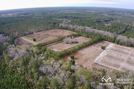 Turkey Pines Farm - Hunting & Recreational Retreat - image 19