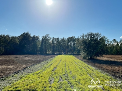 Turkey Pines Farm - Hunting & Recreational Retreat - image 40