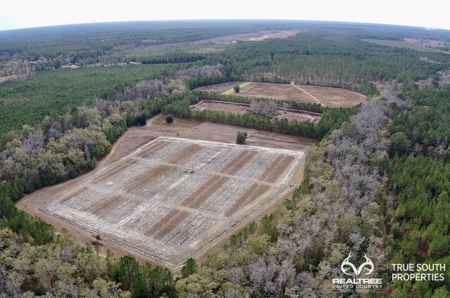 Turkey Pines Farm - Hunting & Recreational Retreat - image 13