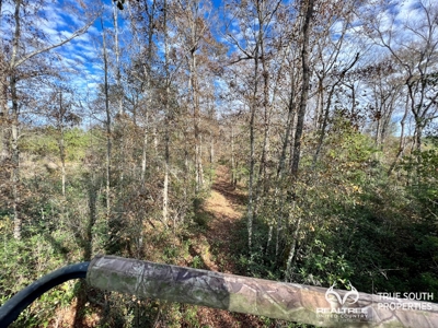 Turkey Pines Farm - Hunting & Recreational Retreat - image 28
