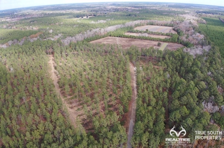 Turkey Pines Farm - Hunting & Recreational Retreat - image 20