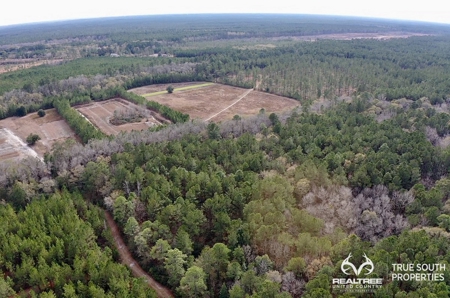 Turkey Pines Farm - Hunting & Recreational Retreat - image 15