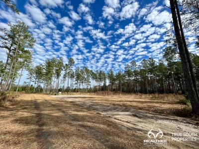 Turkey Pines Farm - Hunting & Recreational Retreat - image 25