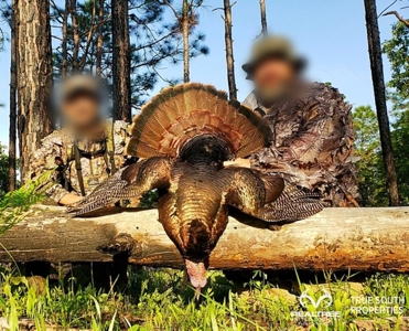 Turkey Pines Farm - Hunting & Recreational Retreat - image 50