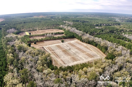 Turkey Pines Farm - Hunting & Recreational Retreat - image 1