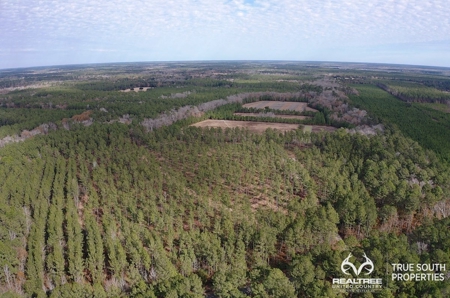 Turkey Pines Farm - Hunting & Recreational Retreat - image 21