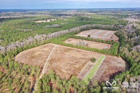Turkey Pines Farm - Hunting & Recreational Retreat - image 18