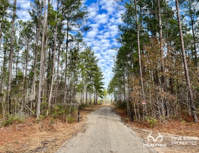 Turkey Pines Farm - Hunting & Recreational Retreat - image 24